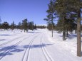 Se bilder fra lypa!