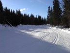 Ta en titt på løypa!
